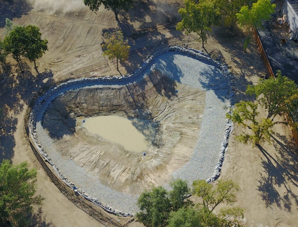 dcim100mediadji 0645.jpg