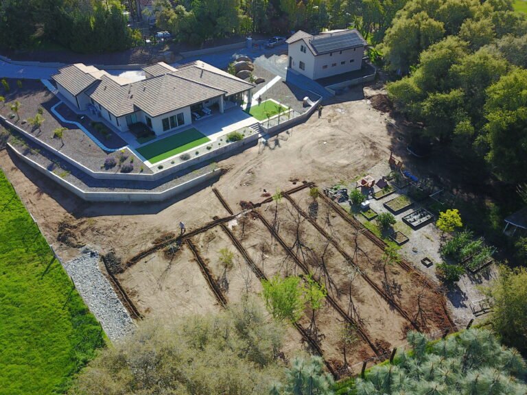 dcim100mediadji 0674.jpg