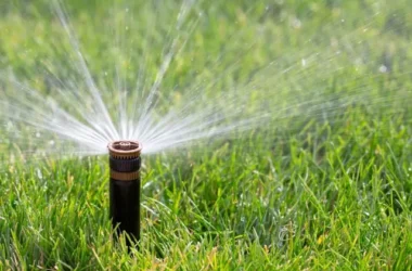 irrigation4 640w